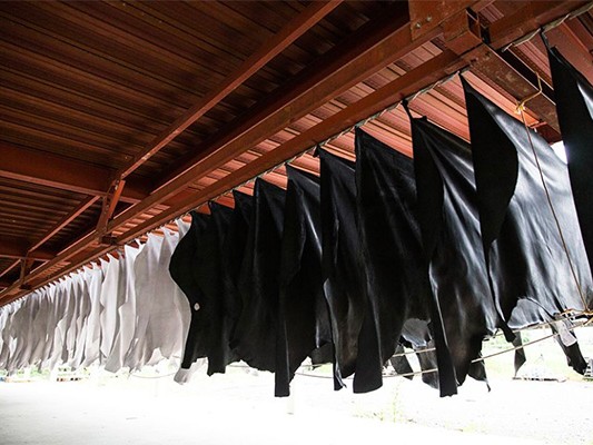 自社工場で吊るして乾燥させている黒と白の革